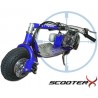 ScooterX Dirt Dog