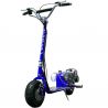 BLUE ScooterX Dirt Dog Gas Scooter
