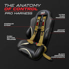 Baja Gold | Gold | Gold 50 Caliber Racing Pro Series UTV harness. Anatomy of Control graphic