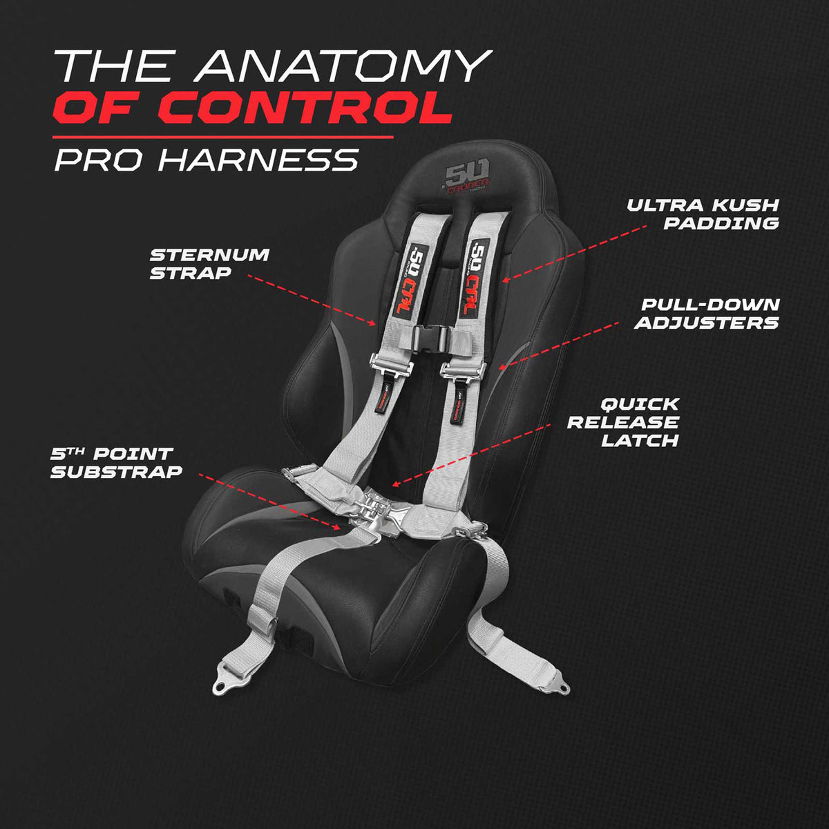 Ghost Gray | Silver | 5 Point UTV Harness Pro Series Race Latch
